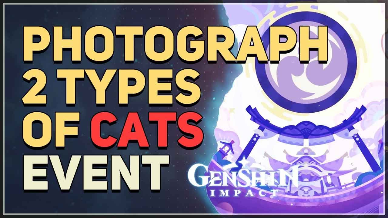 Genshin Impact： Where to Photograph 2 Types of Cats