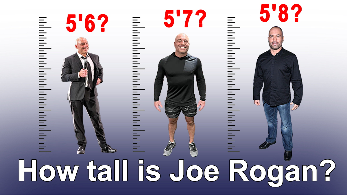 Joe Rogans Height And Weight Revealed: All The Details On His Physical ...