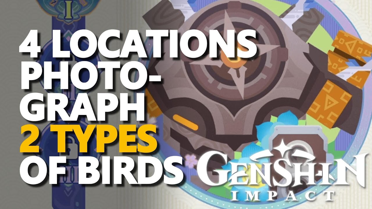 How to Photograph 2 Types of Birds in Genshin Impact: Complete Guide