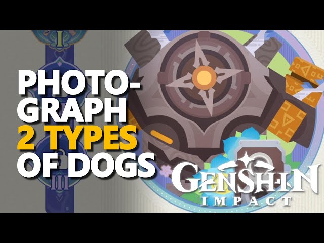 Complete Genshin Impact Mission: Photograph 2 Types of Dogs Guide