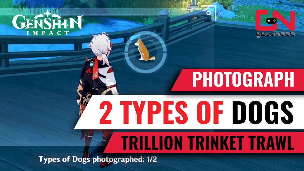 Easy Steps to Complete the "Photograph 2 Types of Dogs" Challenge in Genshin Impact