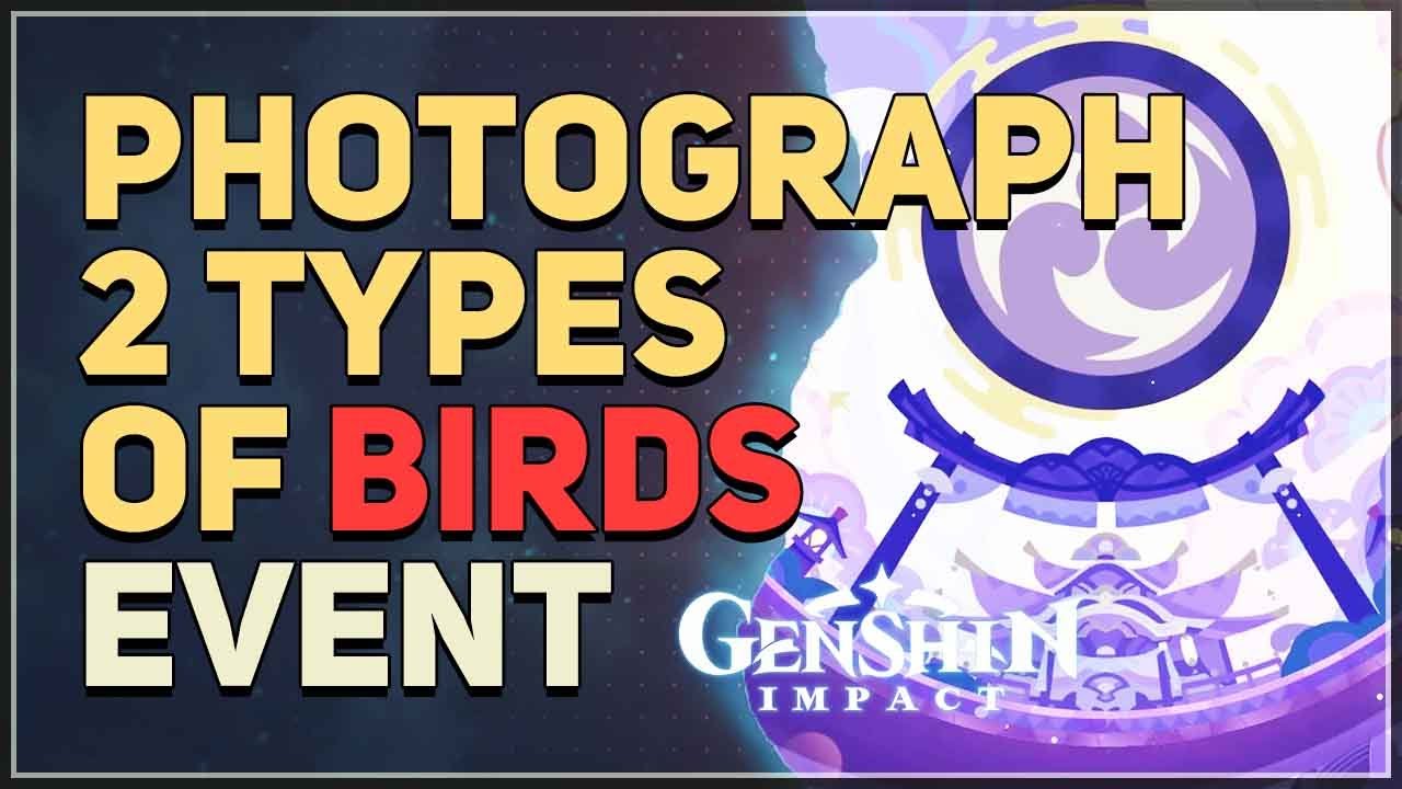 How to Photograph 2 Types of Birds in Genshin Impact: Complete Guide