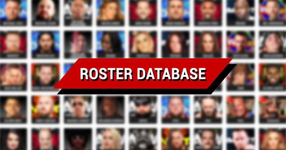 WWE Roster: The Number of Wrestlers Currently in Their 20s