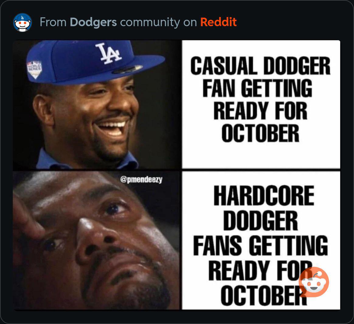 What are Memes Dodgers? Find Out Everything You Need to Know