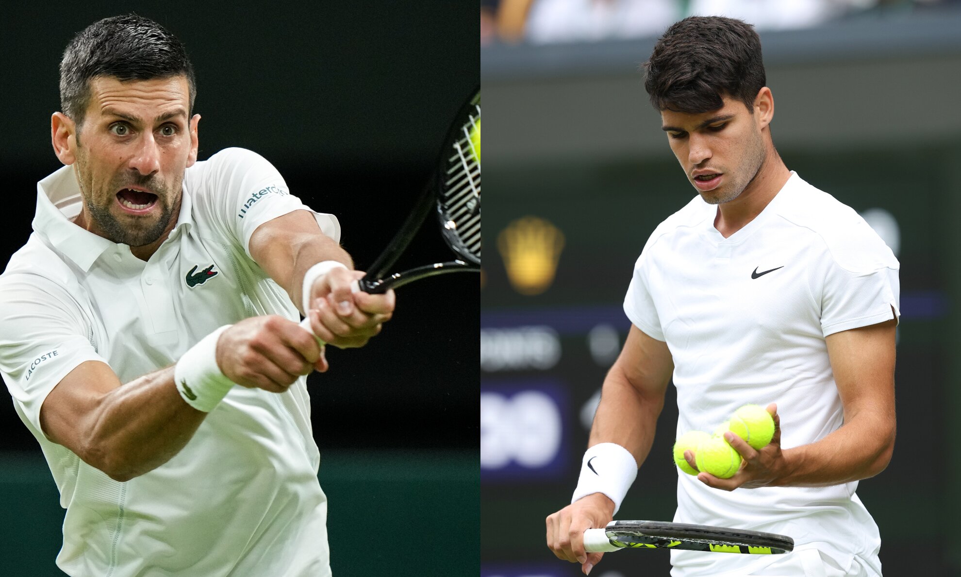 Head to Head: Alcaraz vs Djokovic, The Full Breakdown