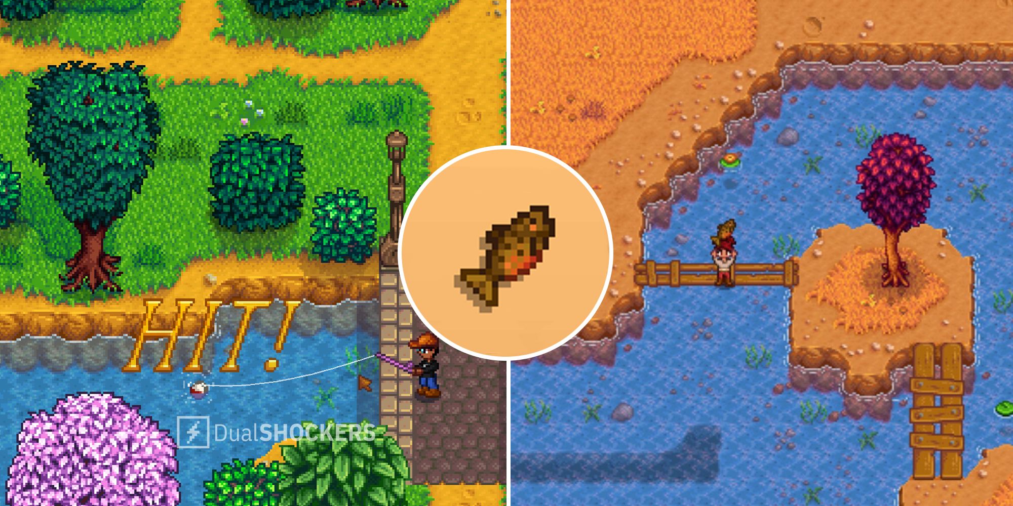 Catching tiger trout Stardew Valley: Tips and tricks for beginners!