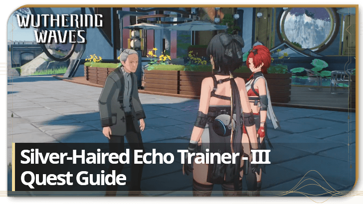 Silver Haired Echo Trainer 3 Characters: A Complete List of Playable Heroes