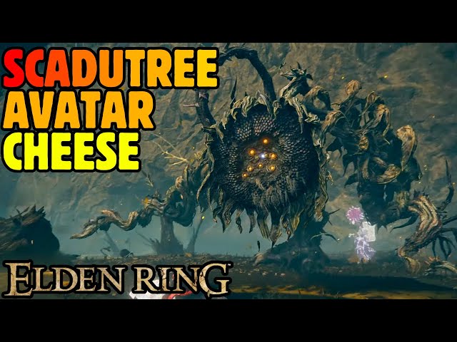 What is scadutree avatar cheese?  Here is a simple guide about it!