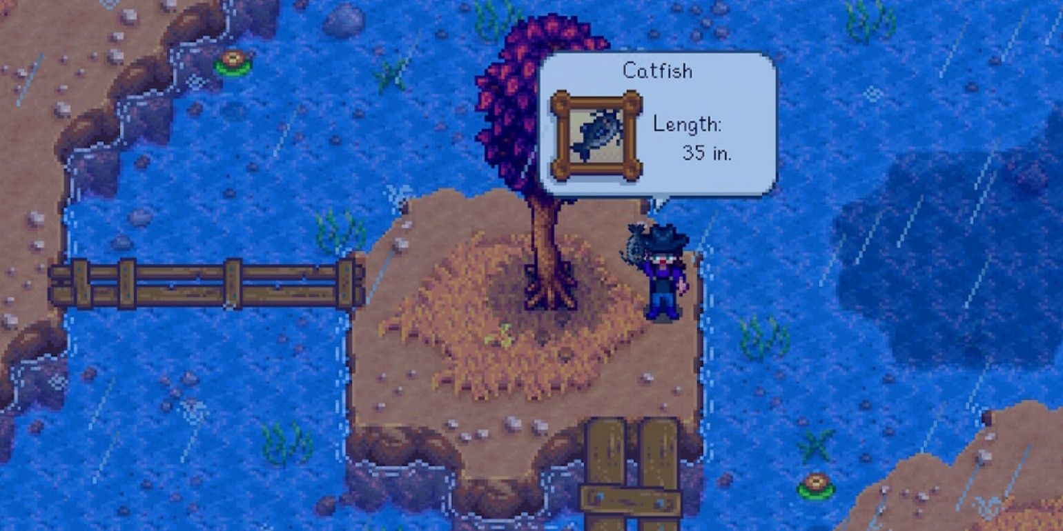 Stardew Catfish: Easy Catch Guide (Best Spots & Times)