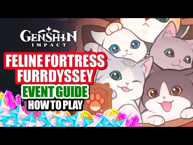 Genshin Impact Cat Event walkthrough Quick and Easy for Beginners!