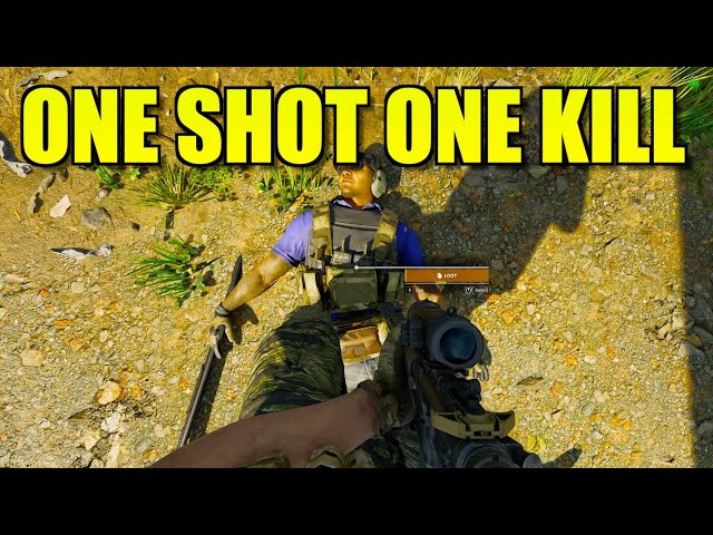 Gray Zone One Shot One Kill: What Does it Mean?