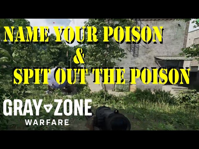 The Name Your Poison Gray Zone: Navigating Risky Choices