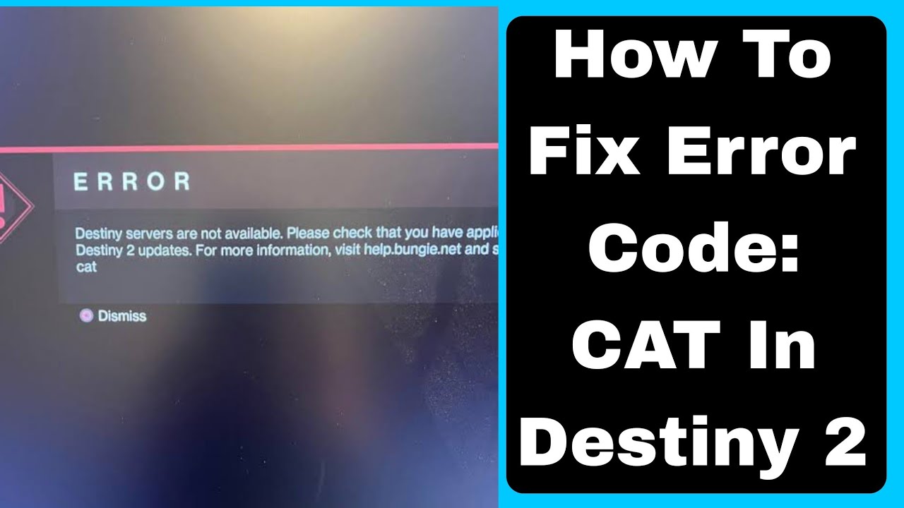 Getting Destiny 2 Error Code CAT? Simple Steps to Resolve It